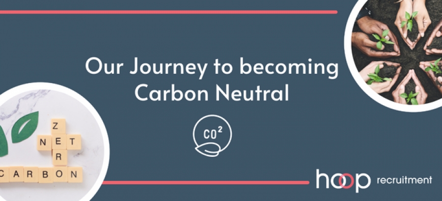 Our Journey To Becoming One Of The First Carbon Neutral Recruitment Agencies In The World