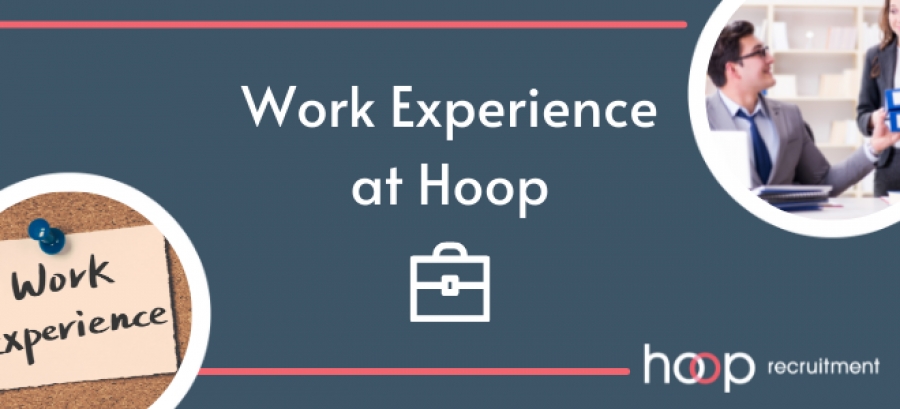 Work Experience at Hoop